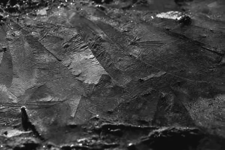 enviro-materia-carbon