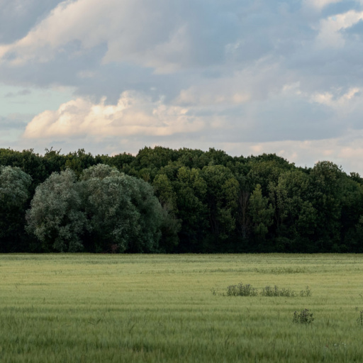 Enviro sustainability